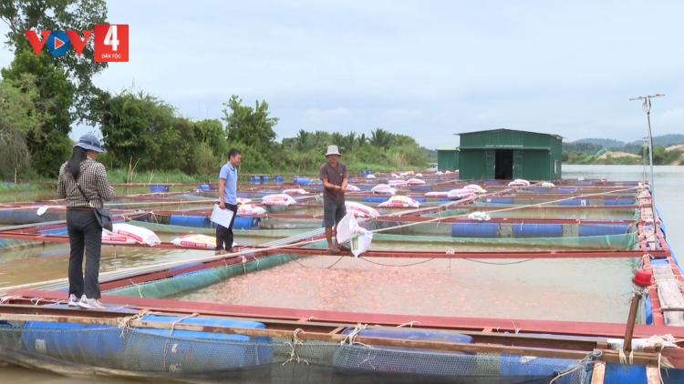 LIỆNG PJA ĐẢY CHOẢN LẨN PÁC TRIỆU MƯN TỨ PÉ NẶM QUẢNG DÚ ĐẮK NÔNG