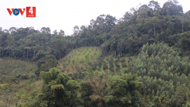 PẠNG LĂNG BẠI PÀY HẲM PHẢ ĐÔNG MẠY