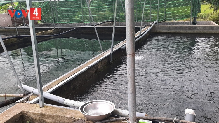 TÀNG HẾT KIN MẤƯ TỨ LIỆNG PJA NẶM CẮT DÚ CAO BẰNG