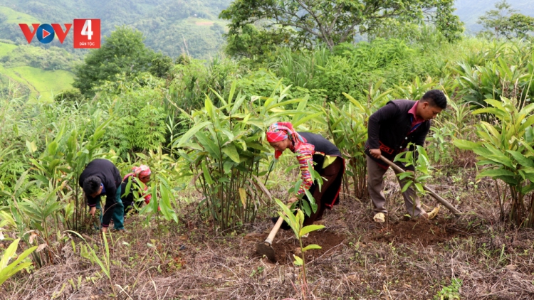PỈ NOỌNG DÚ BÚNG PIÊN CHÁI LAI CHÂU TẢ KHỎ PJOM CÓ TÀNG HẾT KIN TỨ ĐÔNG MẠY