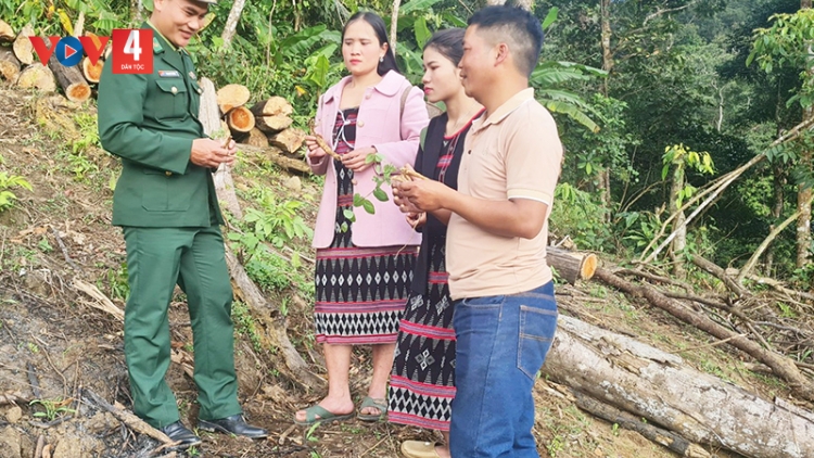 Biên phòng Quảng Nam giúp dân vùng biên giới phát triển kinh tế hộ gia đình