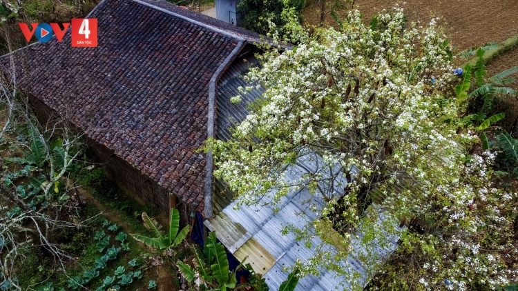 CHƯƠNG TRÌNH KHAY HENG TÀY - NÙNG (Thứ Năm- Vằn 14 bươn 3 pi 2024)