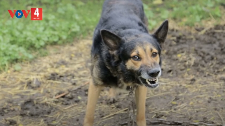 BỘ Y TẾ K’ĐƯƠI PR’HÂN ZÊL CHA GROONG CR’AY DẠI