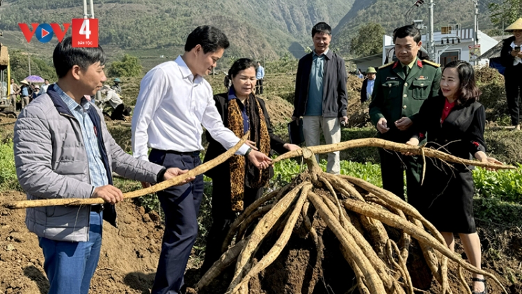 Lời giải cho bài toán cây trồng trên đất lúa một vụ ở Lai Châu   