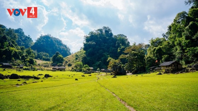 DƯƠNG CHỒM HANG TÁU DÚ BÚNG KHAU PÙ MỘC CHÂU CÚA SLẢNH SƠN LA