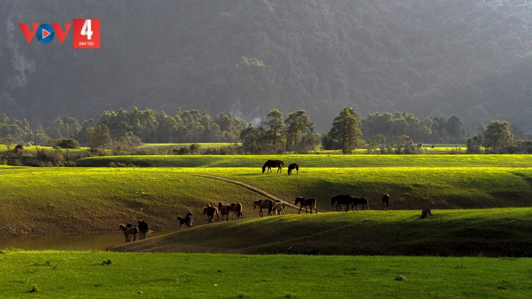 CHƯƠNG TRÌNH KHAY HENG TÀY - NÙNG (Thứ Ba, Vằn xo 2 bươn 4 pi 2024)