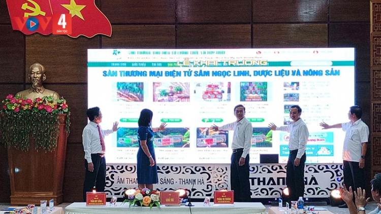 Quảng Nam: Sâm Ngọc Linh trên sàn thương mại điện tử
