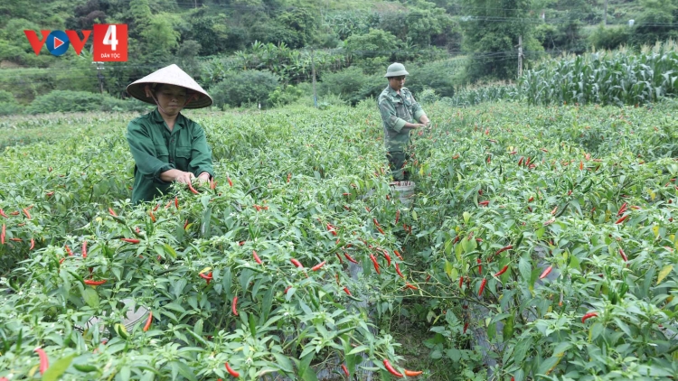 LẠNG SƠN LỒNG LÈNG CHAY CO MÁC PHẾT LAI SLE KHAI 