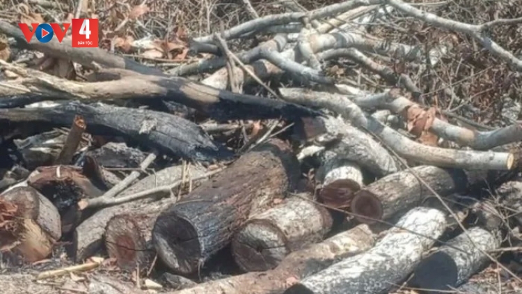 PA HƯ 4.400M2 CRÂNG, PÂN JƯIH ĐHỊ GIA LAI CRÊÊ TA TOỌM 162 ỨC ĐÒNG, K’DUA CHOH CỚ CRÂNG