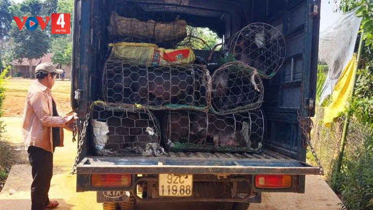 TÂY GIANG ĐOỌNG 55 P’NONG M’MA A’ỌC HA HỘI VIÊN NÔNG DÂN