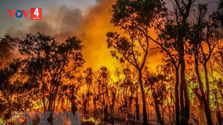 THỦ TƯỚNG CHÍNH PHỦ K’ĐƯƠI NĂL T’BHLÂNG APÊÊ BH’RỢ HÂN ĐƠƠH CHA GROONG, T’PĂT RA ROOH CRÂNG