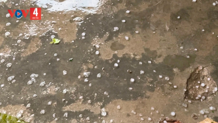 LEH BOO P’RIÊL ĐHỊ TRUNG TÂM CHR’HOONG NAM TRÀ MY