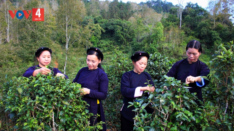 CHƯƠNG TRÌNH KHAY TÀY-NÙNG  (Thứ Bảy- Vằn xo ết bươn 6 pi 2024)