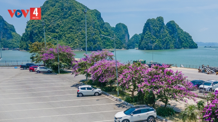 CHƯƠNG TRÌNH KHAY HENG TÀY-NÙNG (Thứ Bảy- Vằn 25/5/2024)