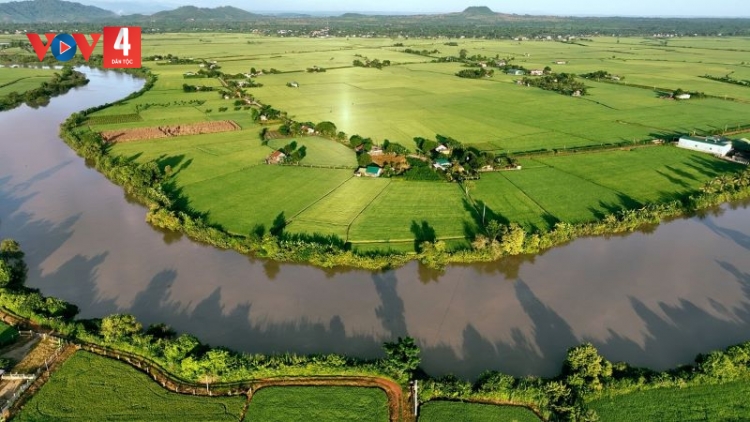 Đồng xanh, mùa vàng ở nơi giao duyên giữa sông sâu và núi lửa