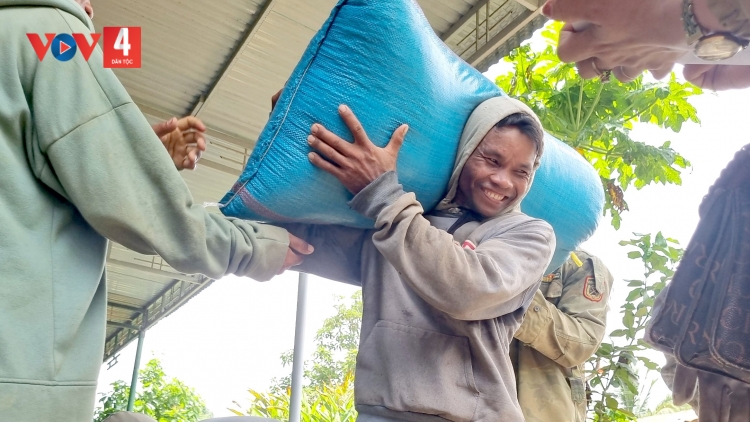 Niềm vui  “mùa vàng” trên cao nguyên Đắk Lắk