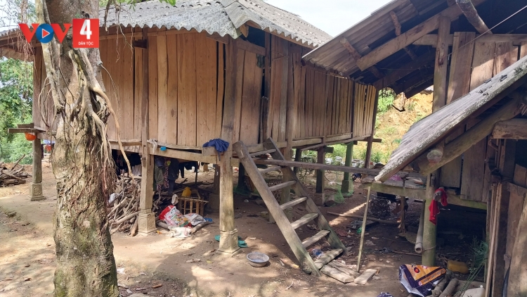 LÀO CAI: FIỂC PANG CHỎI PỈ NOỌNG DÚ BÚNG NGẢI MẺN TÔM HIN LÁC THÂNG TỈ DÚ MẤƯ NHẰNG CHẬP LAI DƯỞNG KHỎ