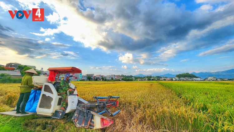 ĐĂM CHAY SLÂƯ ĐÂY, HÂNG RỲ DÚ SLẢNH KHAU PÙ ĐIỆN BIÊN