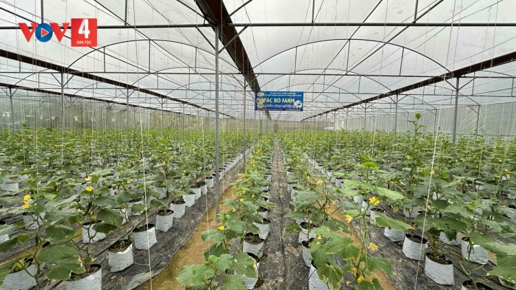 CHAY QUA CHANG SLUÔN MÌ PÀI MÙNG HƯA PỈ NOỌNG HẾT ĐẢY THEM NGẦN CHÈN