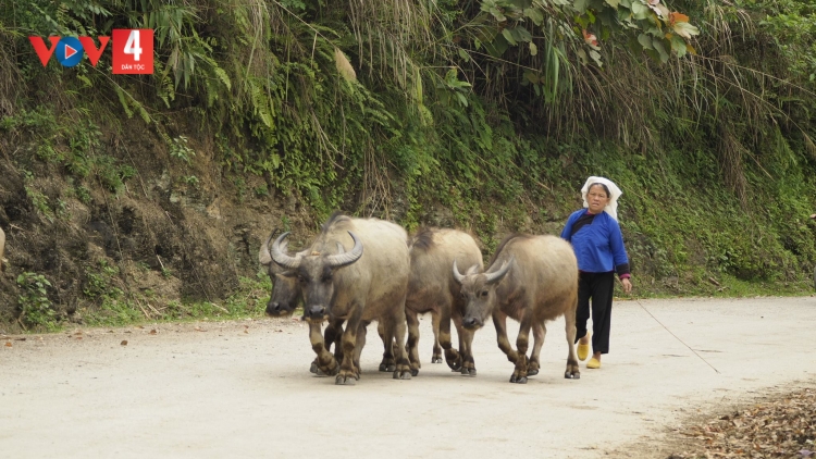 NÈN KHOĂN VÀI CÚA CẦN TÀY, NÙNG