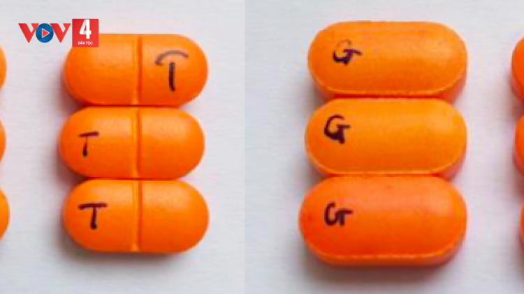 BỘ Y TẾ MOON PA RƠỚT OOY ZƠ NƯƠU KHÁNG SINH G’LỚC N’LEH COH THỊ TRƯỜNG