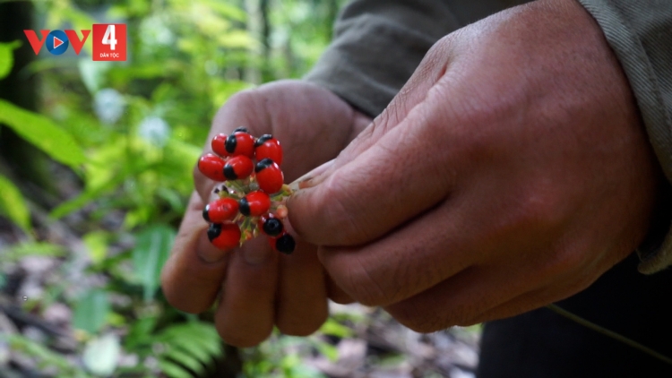 HÂN NOO PAY PA CHÔ CR’LIÊNG SÂM NGỌC LINH
