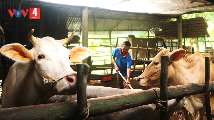 Gặp những thương binh người Khmer vươn lên trên mặt trận sản xuất