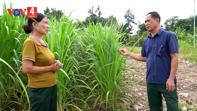 Người trưởng thôn “Đảng tín – Dân tin”