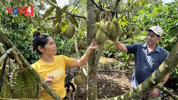 ĐỢ ĐẢNG VIÊN MANỨIH Ê ĐÊ K’ĐƠƠNG A’CỌ DƯR ZI LẤH ĐHA RỨT