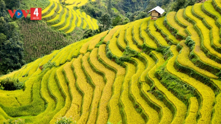 CHƯƠNG TRÌNH KHAY HENG TÀY- NÙNG  (Thứ Năm- Vằn 29/08/2024)