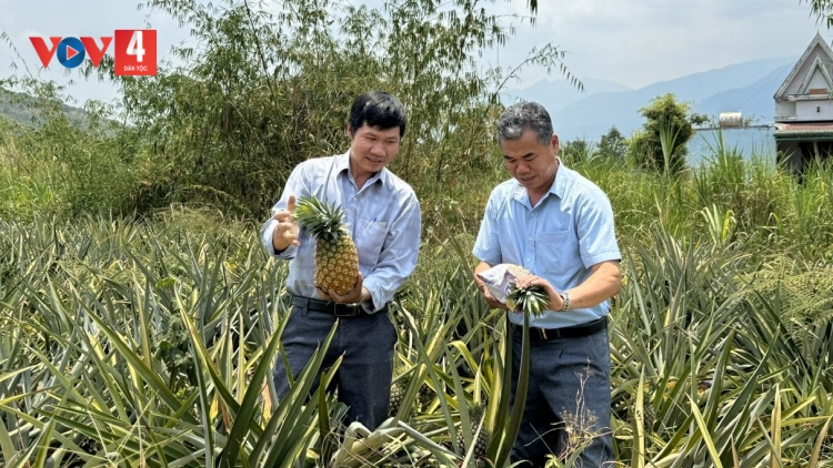 Đổi thay ở Khu căn cứ kháng chiến H9 Đắk Lắk
