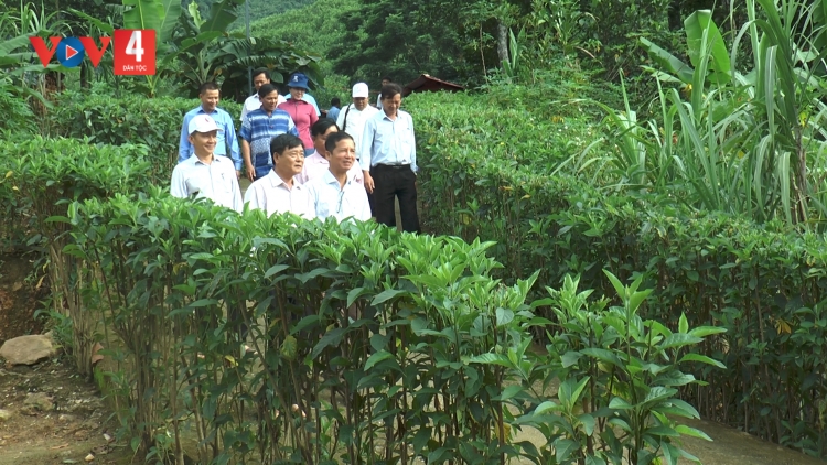 NAM GIANG T’BHLẦNG RAU K’ĐHƠỢNG BHRỢ ÂNG ZẬP CẤP ỦY ĐẢNG ĐHỊ CƠ SỞ COH BHRỢ TÊNG VEL BHƯƠL T’MÊÊ