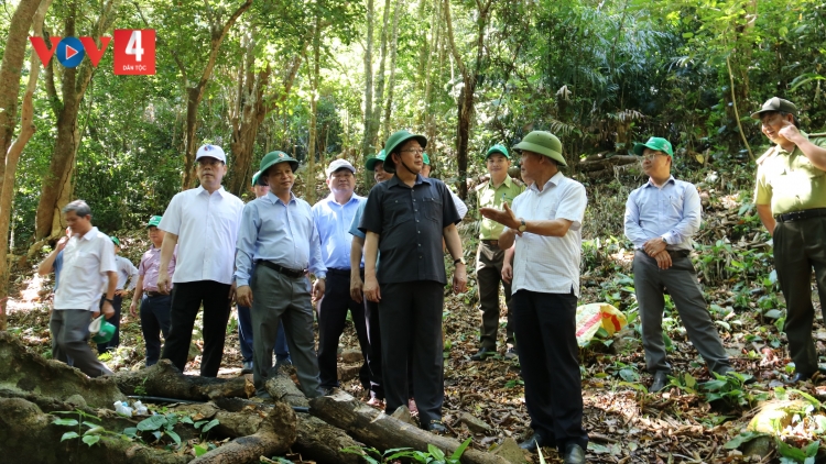 PA DƯR DU LỊCH LA VUÔNG, T’VAIH RAU LIÊM BUÔN ĐĂH BẮC BÌNH ĐỊNH