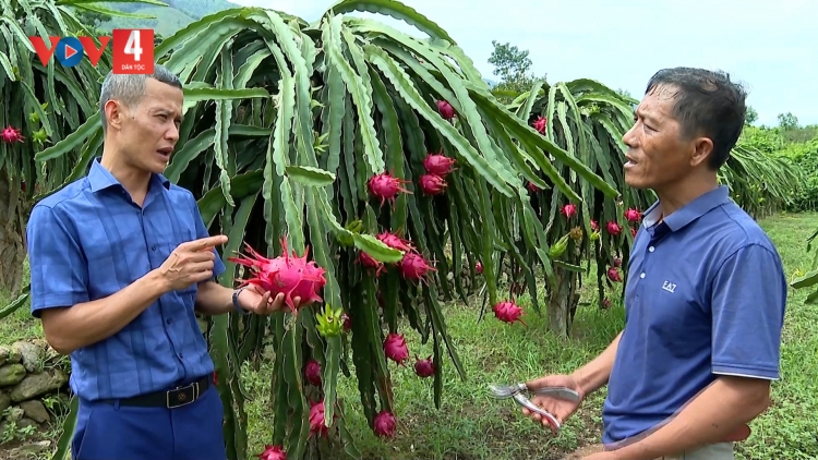 YÊN BÁI TẲNG CÓ BẢN CỎN MẤƯ TỨ BẠI MÒN MÌ SLẶN DÚ TỈ FUÔNG