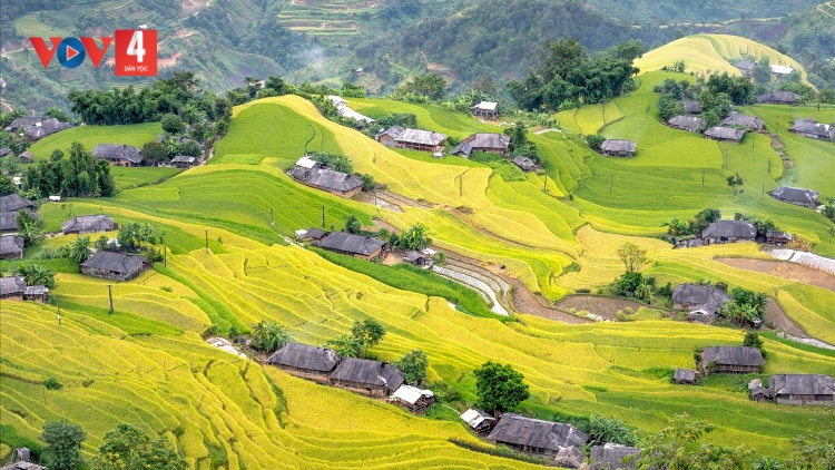 Dừng tổ chức Tuần văn hóa du lịch “Qua miền di sản ruộng bậc thang Hoàng Su Phì” năm 2024