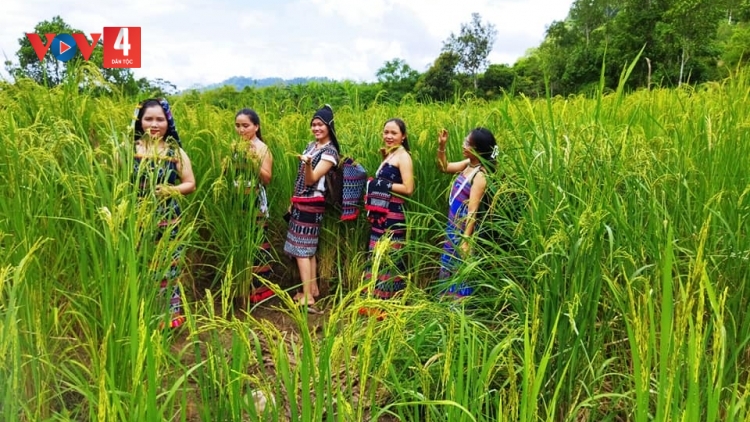 T'RUIH PA XƯL P'RA CƠ TU T'NGAY 29/11/2024