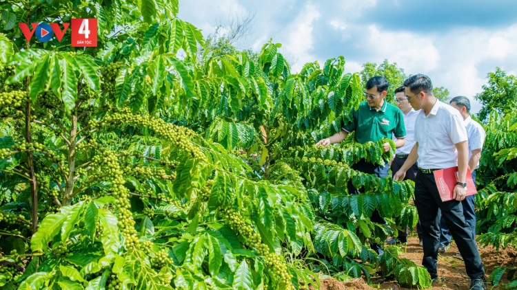 SLE LẺ TỈ AI PẰNG HẨƯ PỈ NOỌNG HẾT CHÀU