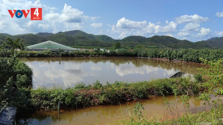 QUẢNG NINH: LIỆNG CỦNG NÈM BẠI TÀNG DƯỞNG MẤƯ