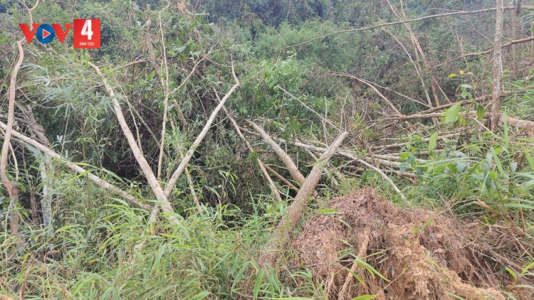 CẦN PJÚC ĐÔNG CÓN BẠI DƯỞNG DAU HÍ KHỎ TÒ TẺO