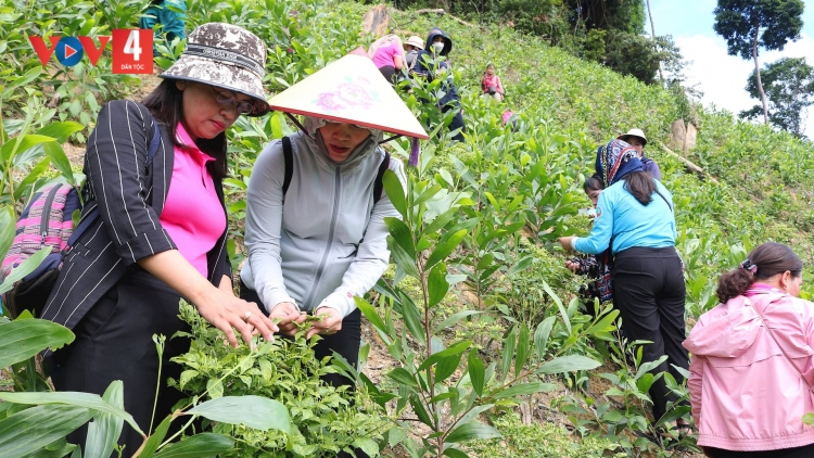 PÂN ĐIL TÂY GIANG HỌC TẬP BH’RỢ CH’CHOH B’BĂN ĐHỊ ĐÔNG GIANG