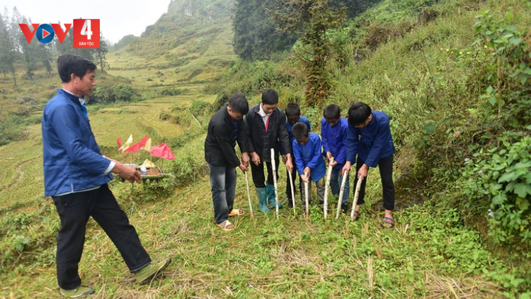 LẸ TẺP PHI BẢN CÚA CẦN PHÙ LÁ