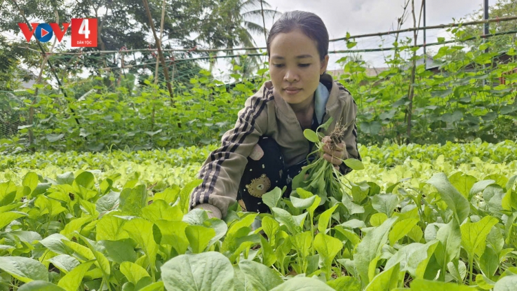 SLON NGHỂ HẨƯ PỈ NOỌNG DÚ BẠI BẢN PANG HẨƯ PỈ NOỌNG DÂN TỘC NỌI CẦN TẢ ĐẢY KHỎ