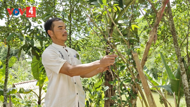 QUẢNG NAM ZOOI ĐHA NUÔR ACOON COH BHRỢ CHA TING C’BHUH CHR’NĂP PA CÂL