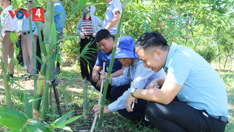 CHOH AM LỤC TRÚC ĐHỊ QUẢNG BÌNH 