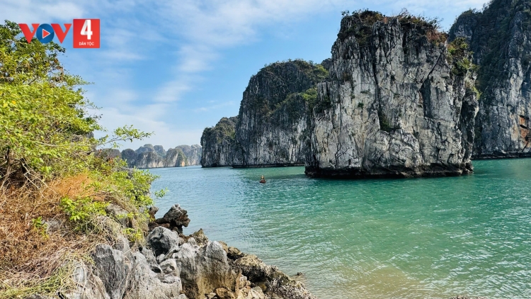 QUẢNG NINH: BOỎNG TÀNG 30 PI LỒNG LÈNG CHƯỚNG CHẮP VỊNH HẠ LONG