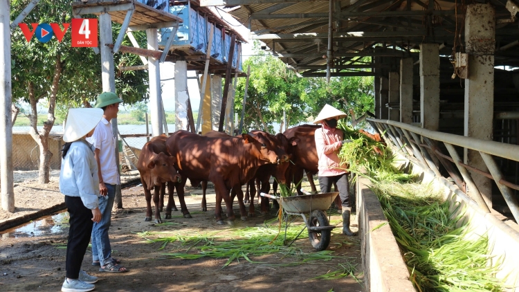 B’BĂN TUẦN HOÀN PA XIÊR PA GLUH LƠI KHÍ ĐÔNG KÍNH, C’LÂNG LÊY CHÔ BHRỢ NÔNG NGHIỆP T’VIÊNG