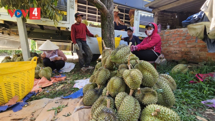 CHR’NOH CHR’BÊẾT HỮU CƠ PA DƯR RÂU CHR’NĂP ĐOỌNG HA DA DING K’COONG KHÁNH HOÀ
