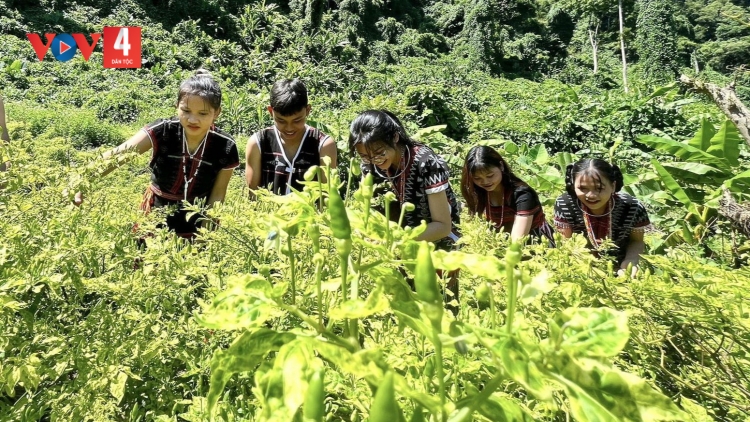 PRỚ ARIÊU ZOOI BẤC ĐHANUÔR CƠ TU ĐHỊ DA DING CA COONG QUẢNG NAM Z’LÂH ĐHA RỰT