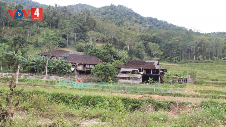 BẮC KẠN HƯA PỈ NOỌNG MÌ TÔM HẾT LƯỜN