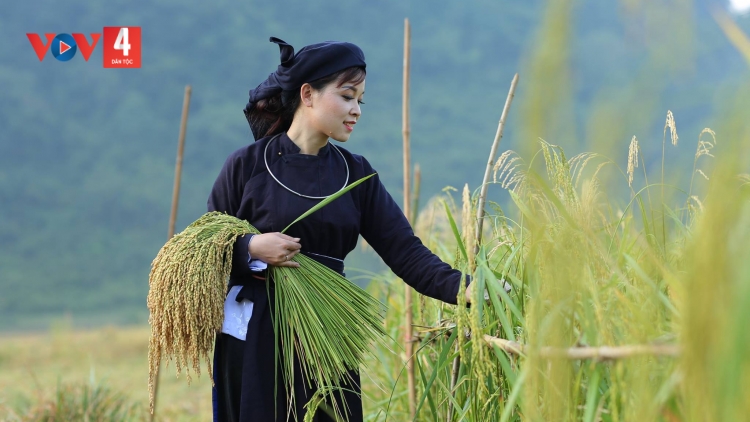 CHƯƠNG TRÌNH KHAY HENG TÀY-NÙNG (Thứ 7, vằn xo ết bươn 2 pi 2025) XO 4 NÈN CHIÊNG